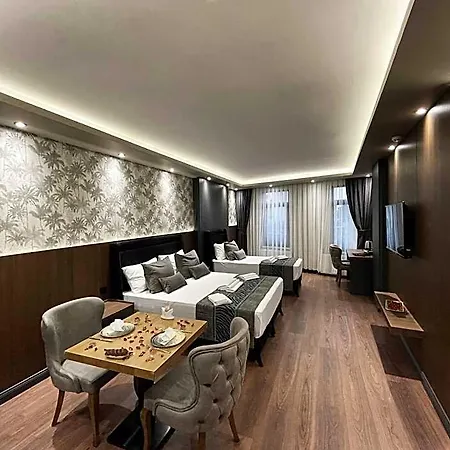 Grand Ueskuedar فندق اسطنبول